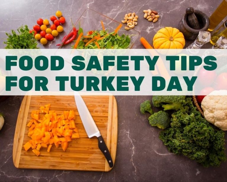 Food Safety Tips For Turkey Day - Just A Pinch