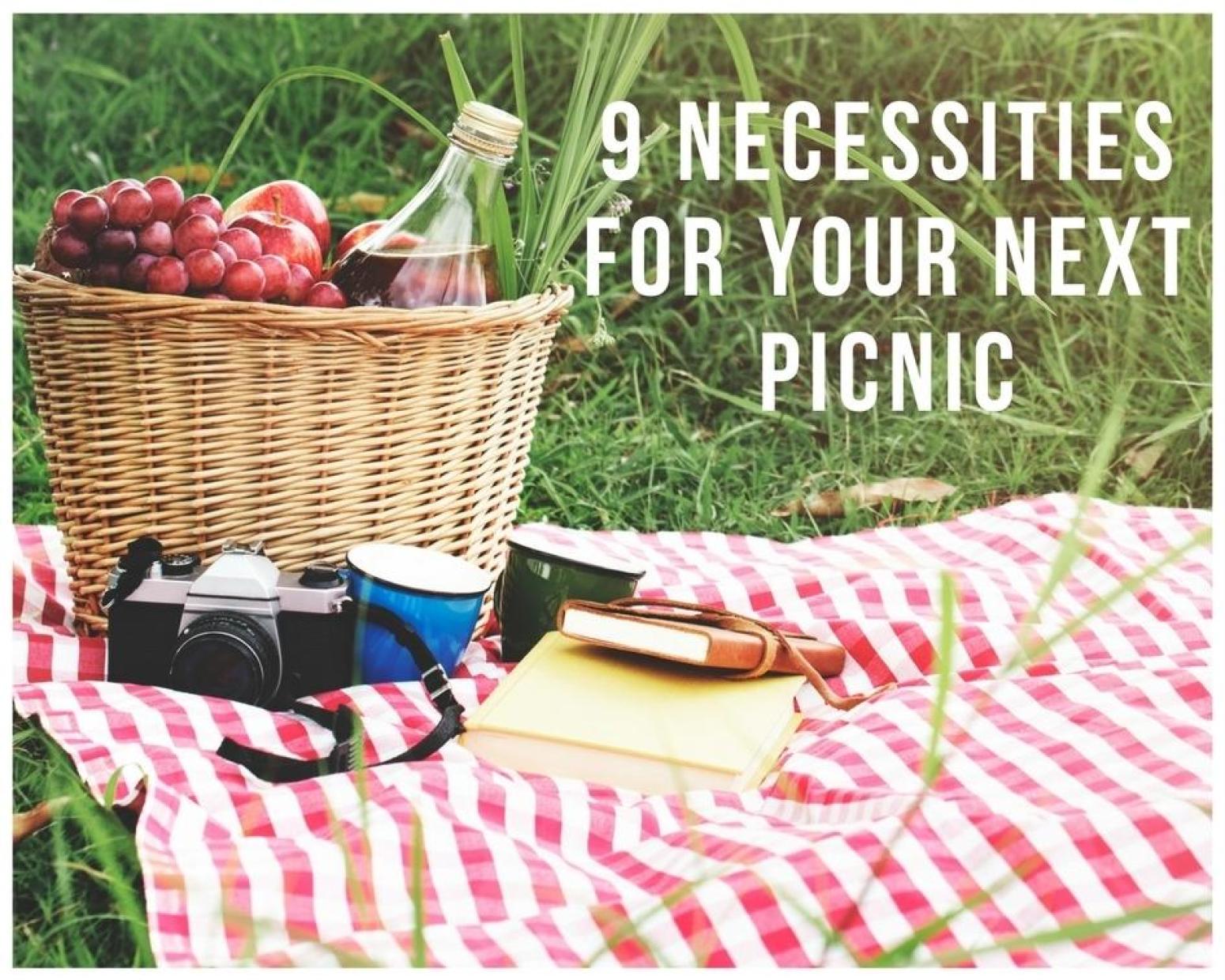 Nail your next picnic with these 10 essentials