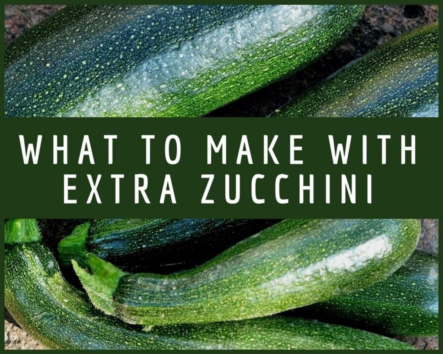 what-to-make-with-extra-zucchini-just-a-pinch