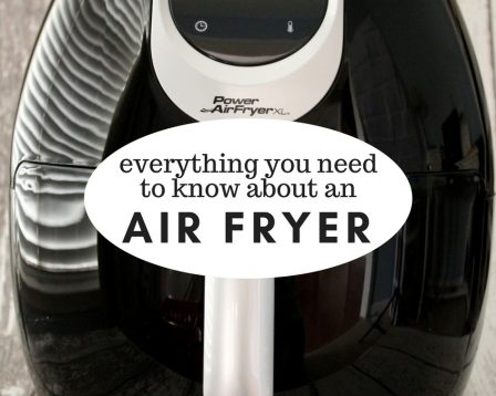 air fryer