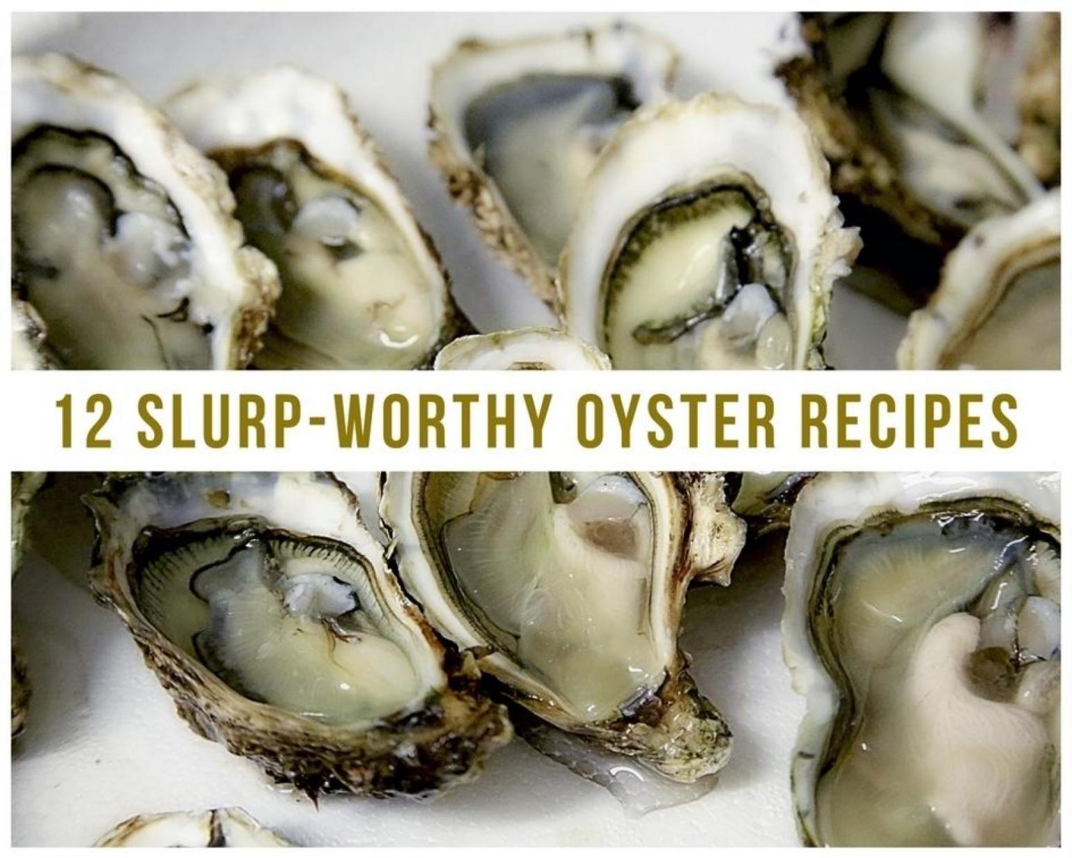 12 Slurp-Worthy Oyster Recipes - Just A Pinch