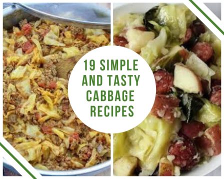 tasty cabbage recipes