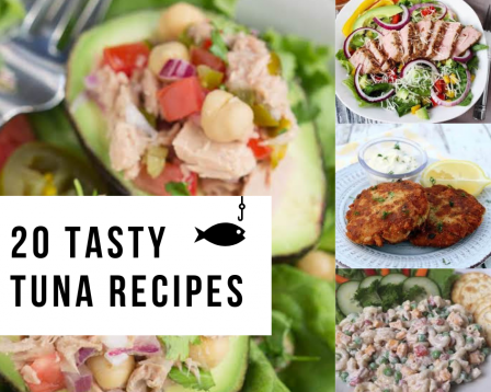 tasty tuna recipes