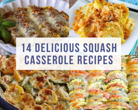 squash casserole dishes