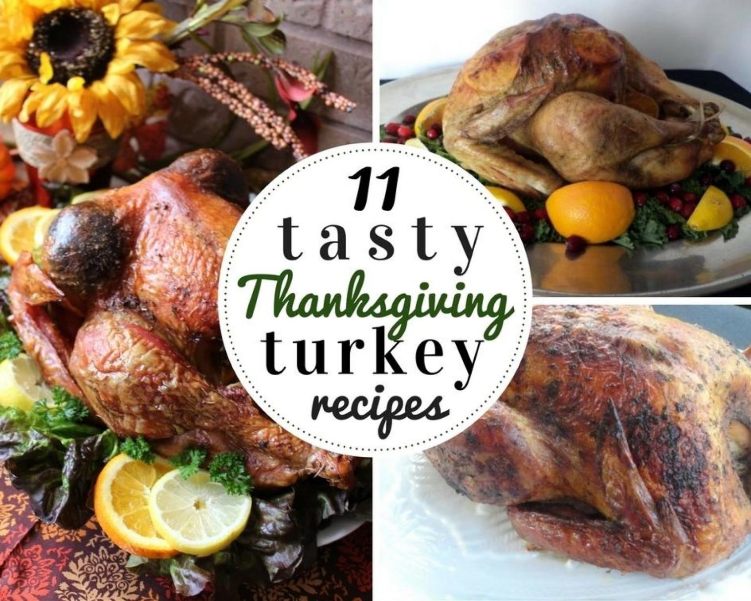 11 Tasty Thanksgiving Turkey Recipes - Just A Pinch