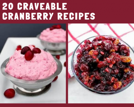 cranberry recipes