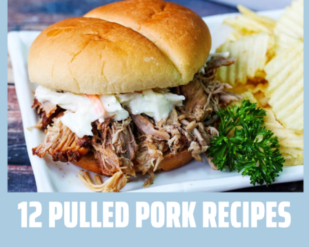 Pulled pork sandwich recipes