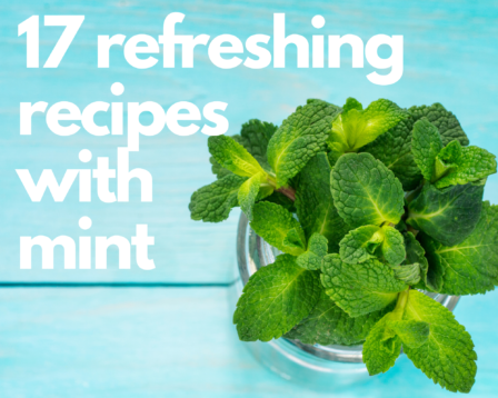 A bundle of fresh mint