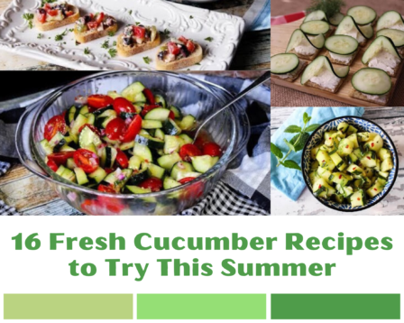 Cucumber salad, bruschetta and snack recipes