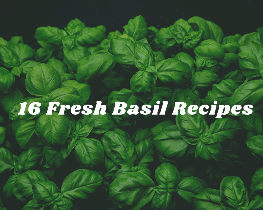 16 Fresh Basil Recipes - Just A Pinch Recipes