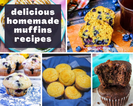 Homemade muffin recipes