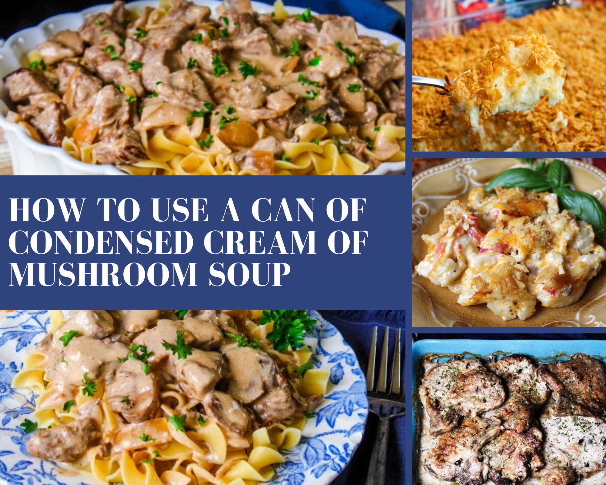 recipes that use a can of cream of mushroom soup