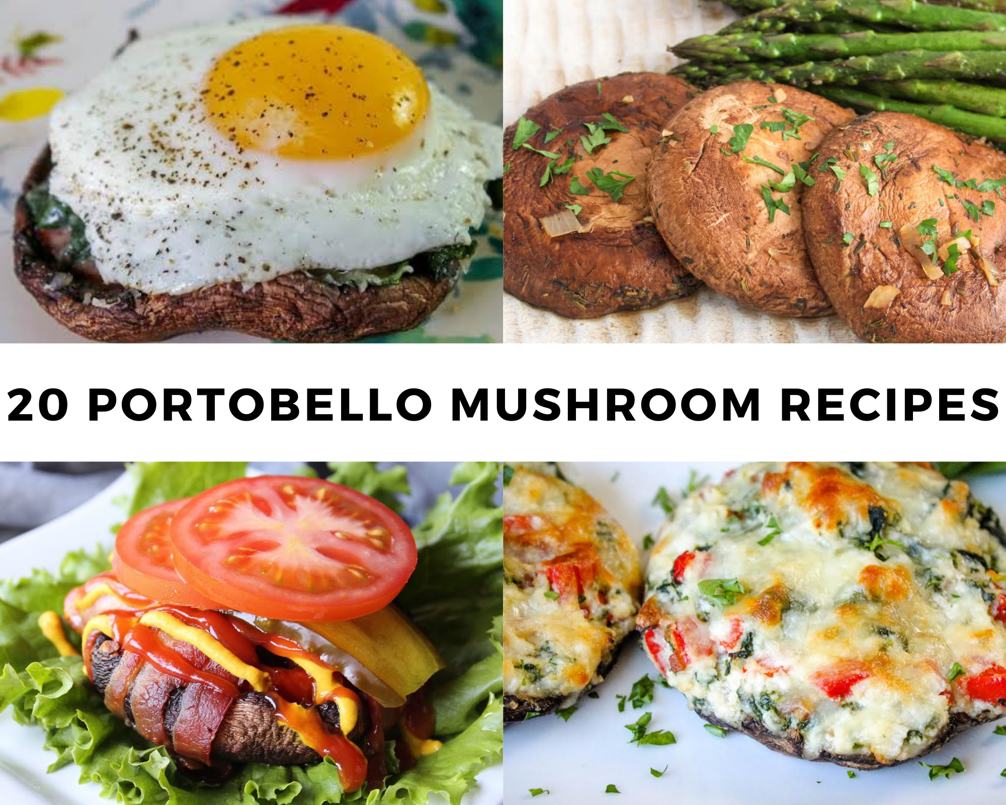 20 Portobello mushroom recipes