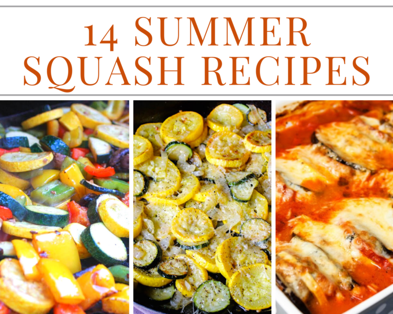 14 Summer Squash Recipes - Just A Pinch Recipes