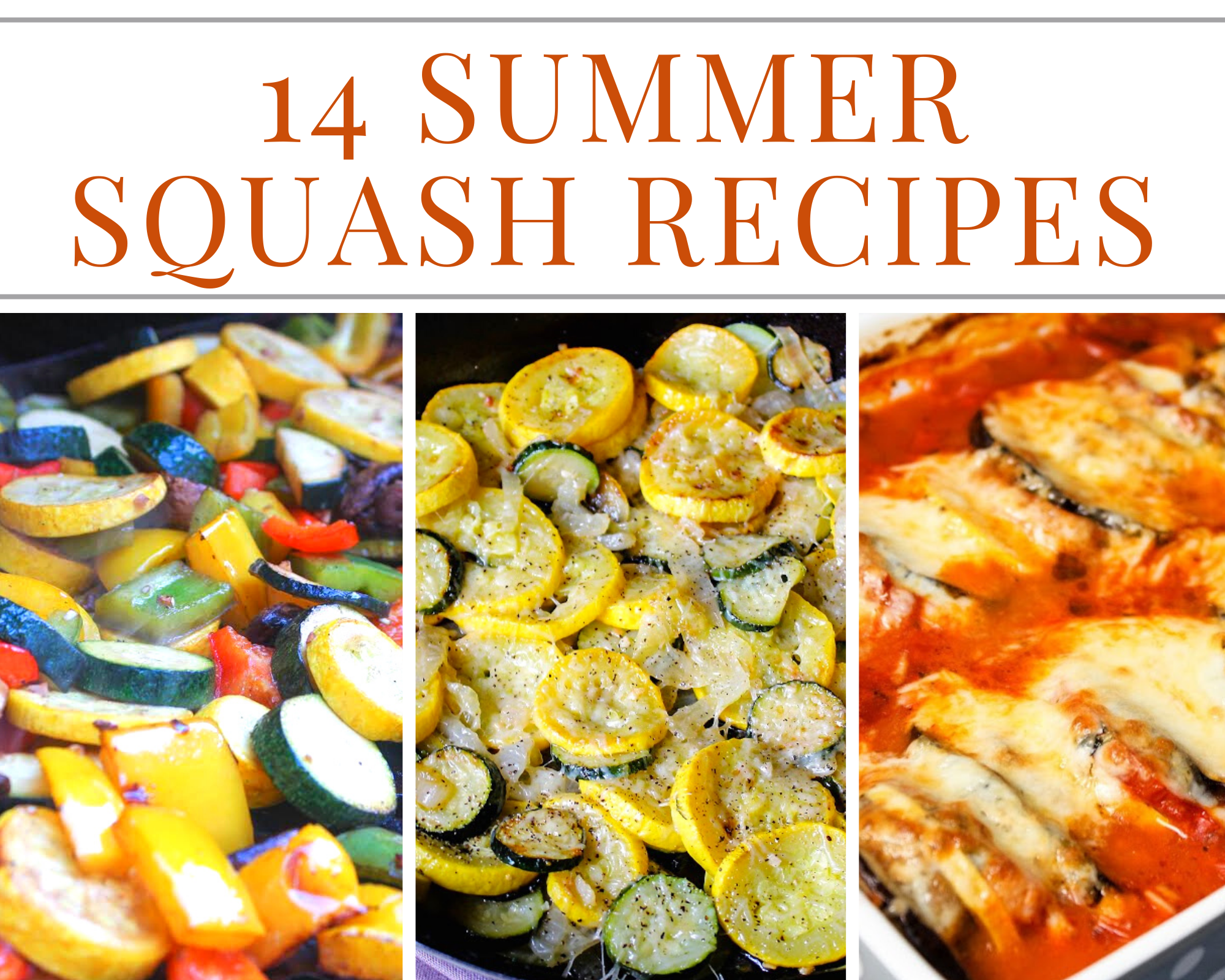 summer squash recipes