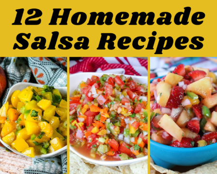 homemade salsa recipes