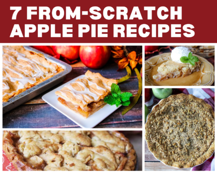 homemade apple pie recipes