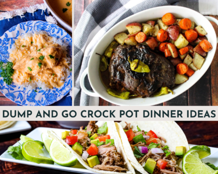 Dump and Go Crock Pot Dinner Ideas