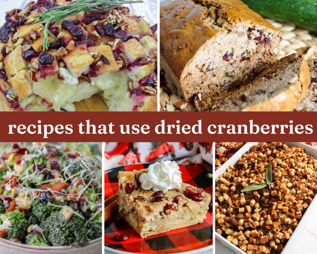 Recipes That Use Dried Cranberries Just A Pinch 6837