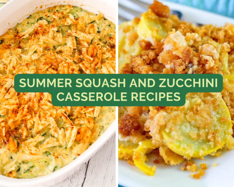 Summer Squash and Zucchini Casserole Recipes - Just A Pinch