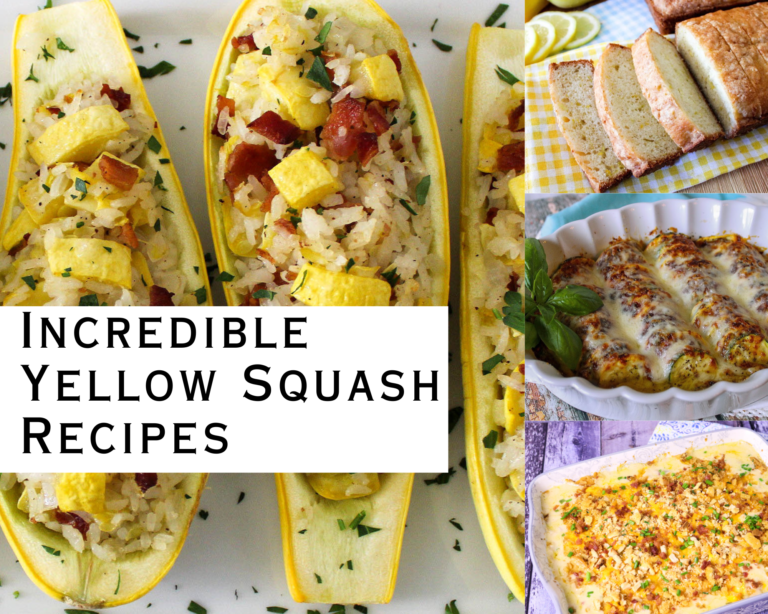 Incredible Yellow Squash Recipes Just A Pinch