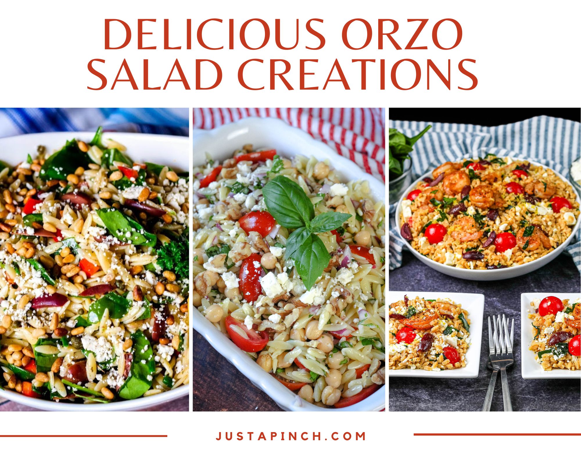 Delicious Orzo Salad Creations