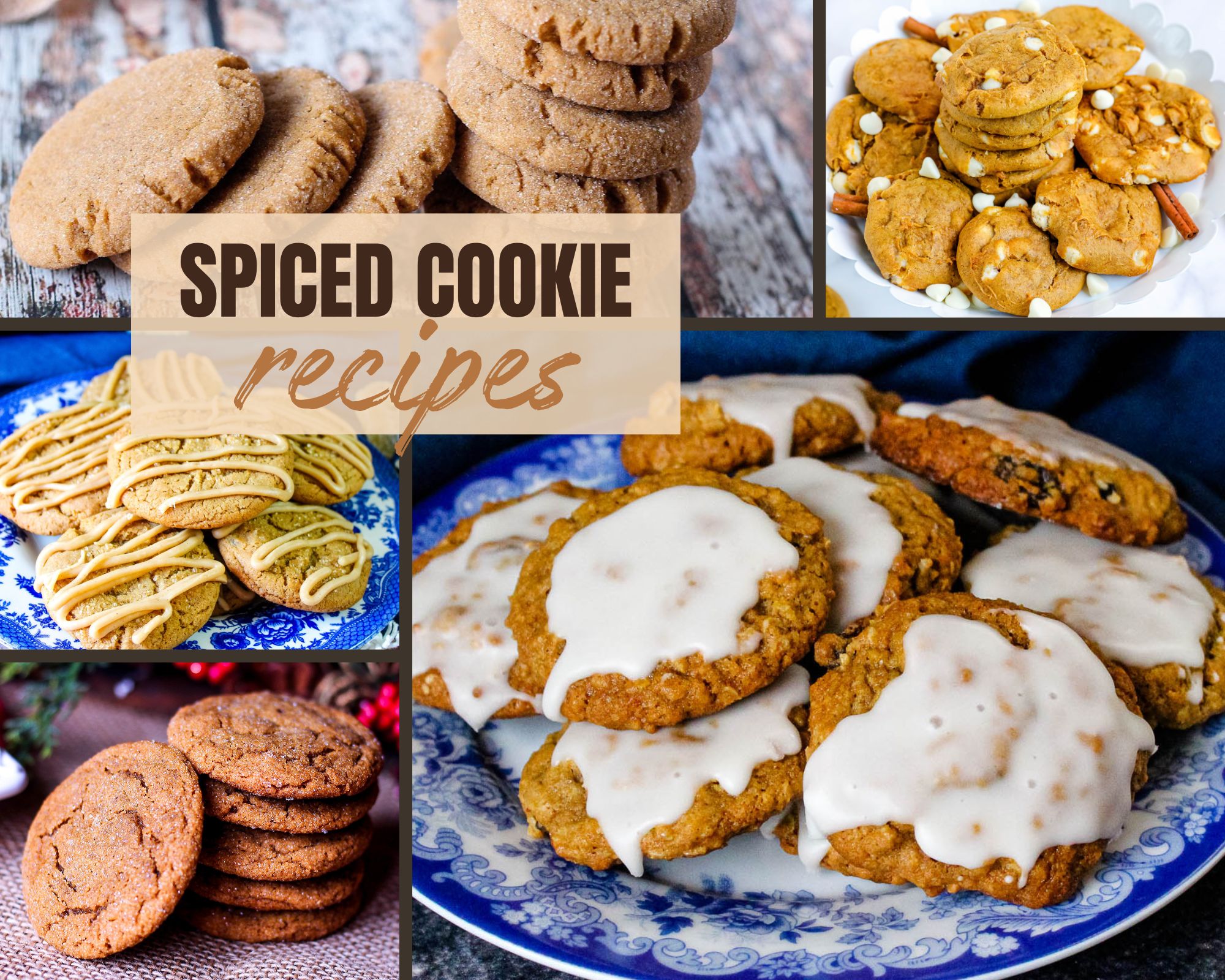 Spiced Cookie Recipes