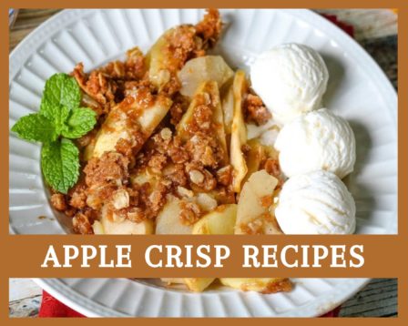 apple crisp recipes